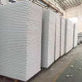 Hot Sale High Quality Metal Walk in Cooler Panels Fire Resistant & Water Resistant Steel Panels for Refrigerated Containers