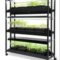 Professional Indoor Sprout Seedling Hydroponic Set with LED Supplementary Lighting and Planting Trays