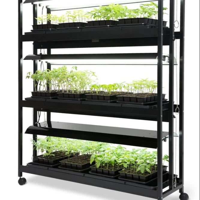 Professional Indoor Sprout Seedling Hydroponic Set with LED Supplementary Lighting and Planting Trays