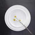Buffet Serving Food Custom Logo Glossy White Ceramic Plates Dishes for Restaurant Tableware Hotel Round Dinner Platter