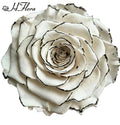 HFloral Preserved Roses Wholesale Decorative Flowers 11-12cm Large Rose Head Long Lasting 3-5 Years Mother's Day Graduation
