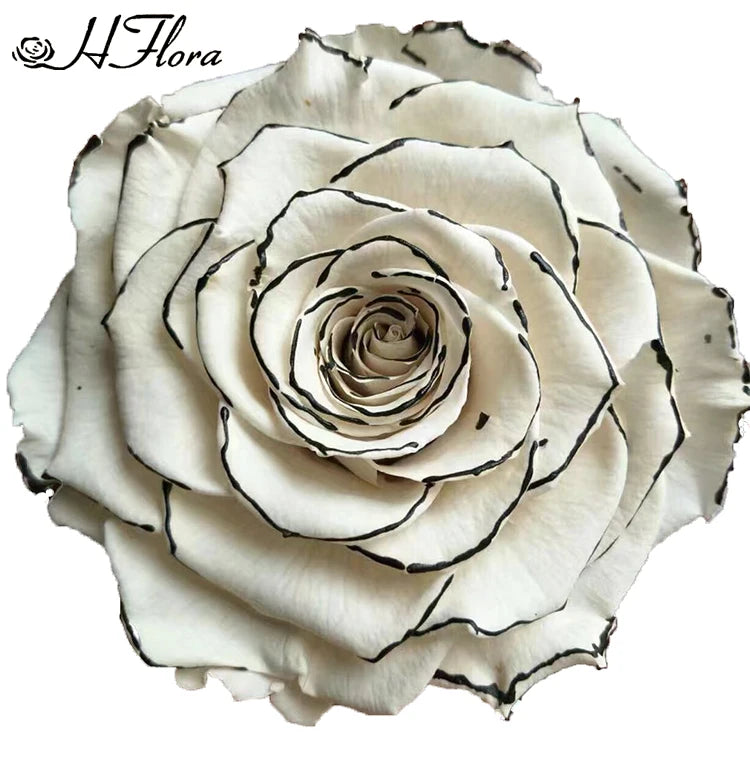 HFloral Preserved Roses Wholesale Decorative Flowers 11-12cm Large Rose Head Long Lasting 3-5 Years Mother's Day Graduation