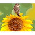 CHENISTORY 99209 Paint by Numbers Impressionists Sunflowers and Bird on Canvas No Frame