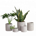 Round Cylinder Shape Cement Flower Pot Plant Pot with Saucer Green Garden Decoration Used with Flower/green Plant 2 Sets Modern