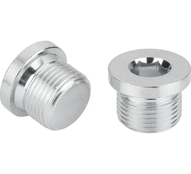 DIN 908 Metric Stainless Steel Hexagon Socket Screw Plugs with Black Oxide Finish