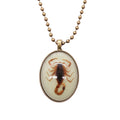 Factory Direct Sale Punk Real Scorpion Necklace Glowing in the Dark Jewelry for Men Vintage Necklace Colar Masculino