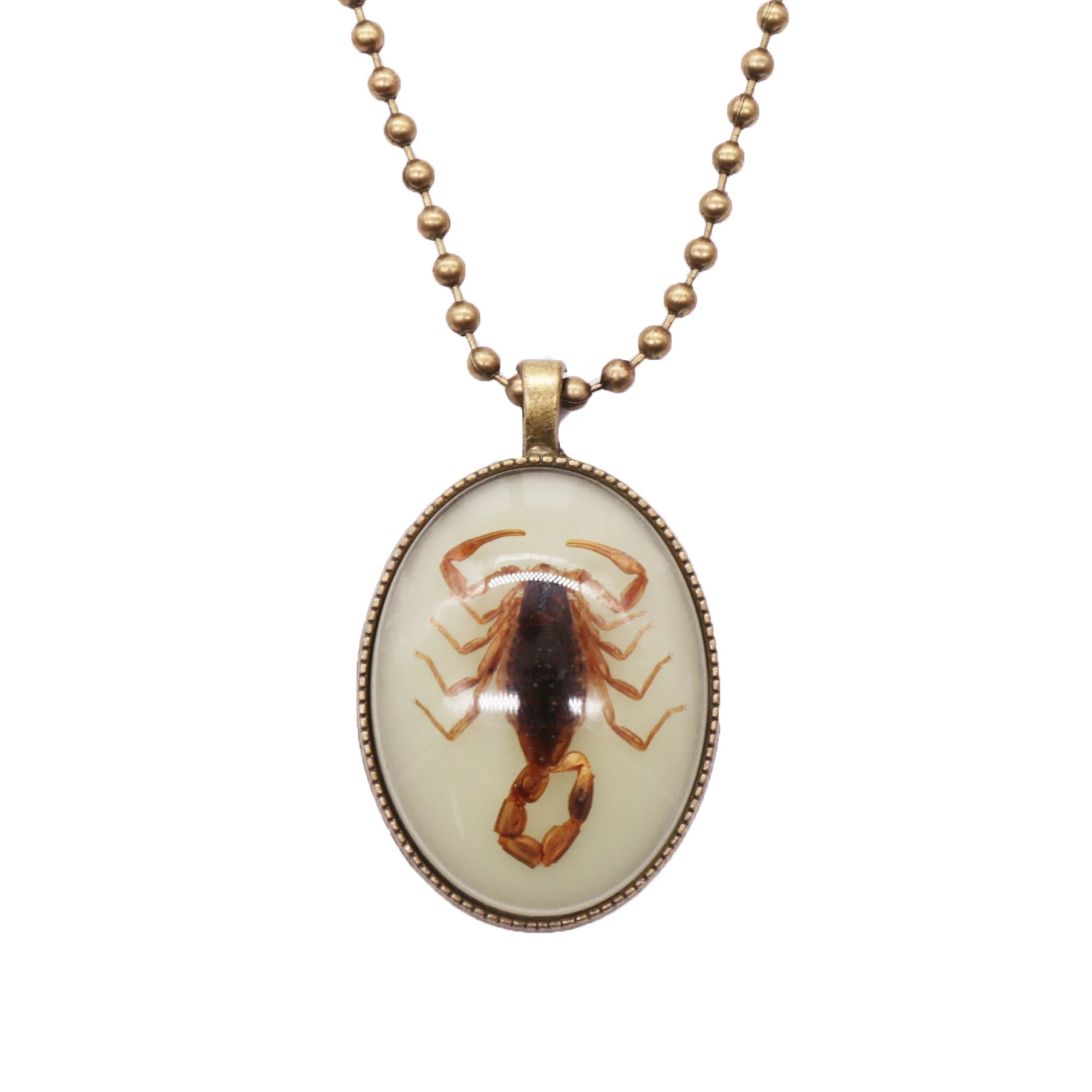 Factory Direct Sale Punk Real Scorpion Necklace Glowing in the Dark Jewelry for Men Vintage Necklace Colar Masculino