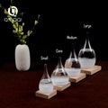 Handblown Glass Barometer Bottle Storm Glass-Eco-Friendly Weather Forecast Love Design