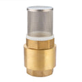 Foot Brass S.S.Stainless Steel Filter Spring Vertical Brass Water Pump