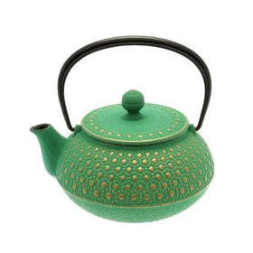 Tetsubin Enamel Cast Iron Japanese Teapot