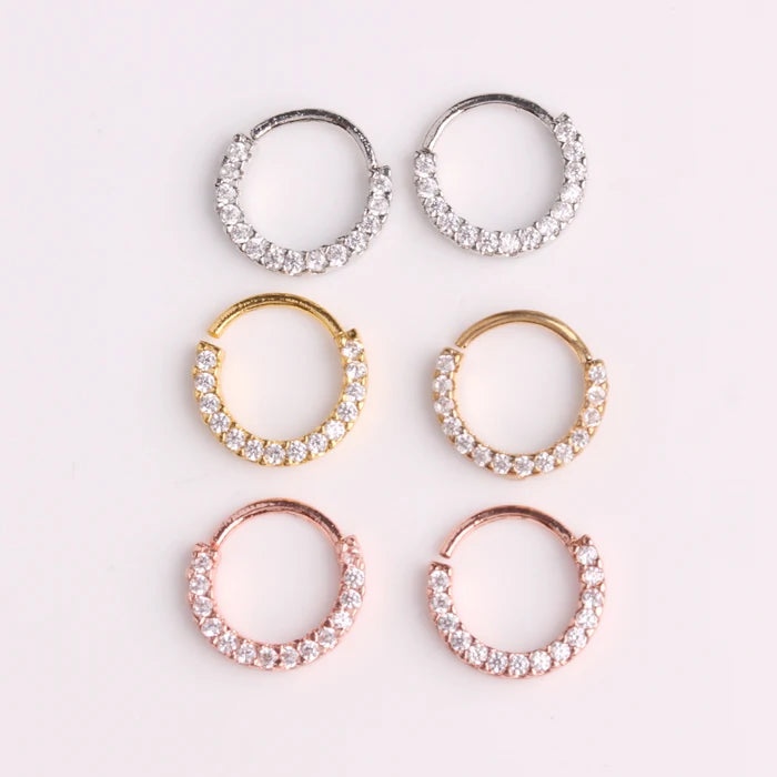 Ready Stock Quality  Low MOQ Body Piercing Daith Helix Cartilage Hoop Earrings
