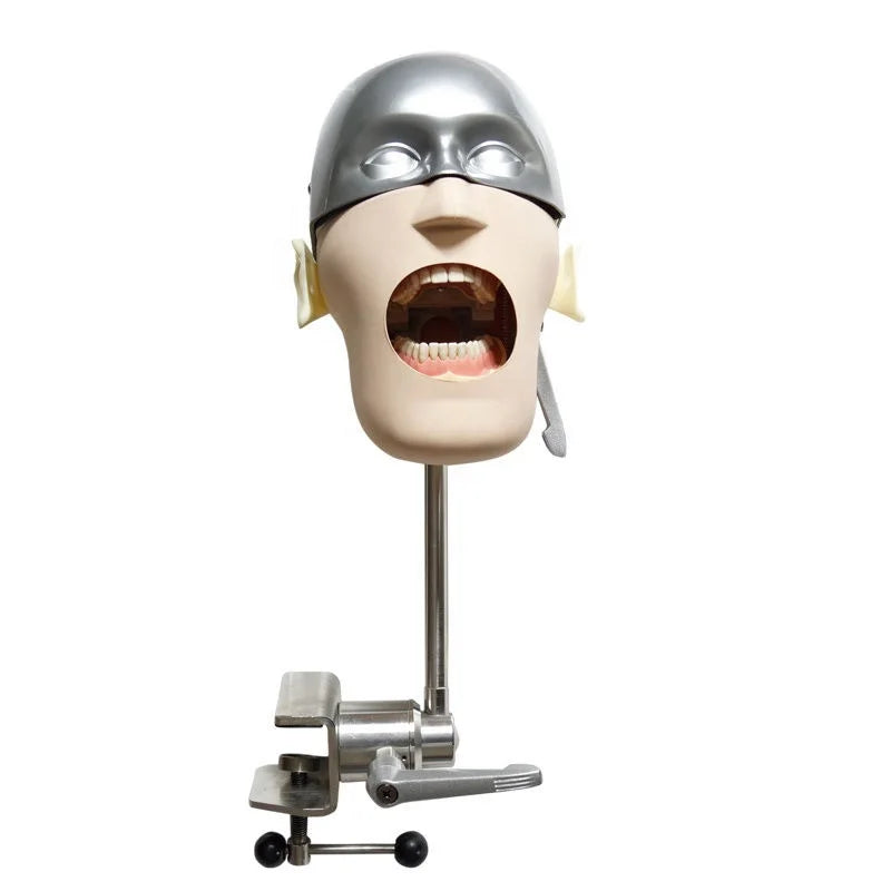 Dental Training Model Manikin Phantom Simulator Head Model Dental Simulation Phantom Head for Dental Education