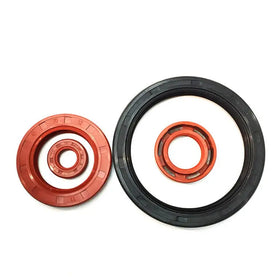Nbr Buna Fkm Silicone Hnbr Epdm Tc Sc Oil Seal 120x140x15