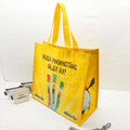 ASL Audit Promotional Shopping pp Woven Laminated Bag