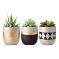 Set of 3 Cement Succulent Planter Mini Indoor Flower Pot Home Decoration Concrete Planter for Cactus
