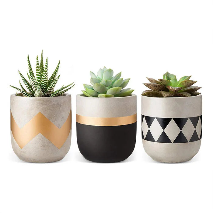 Set of 3 Cement Succulent Planter Mini Indoor Flower Pot Home Decoration Concrete Planter for Cactus