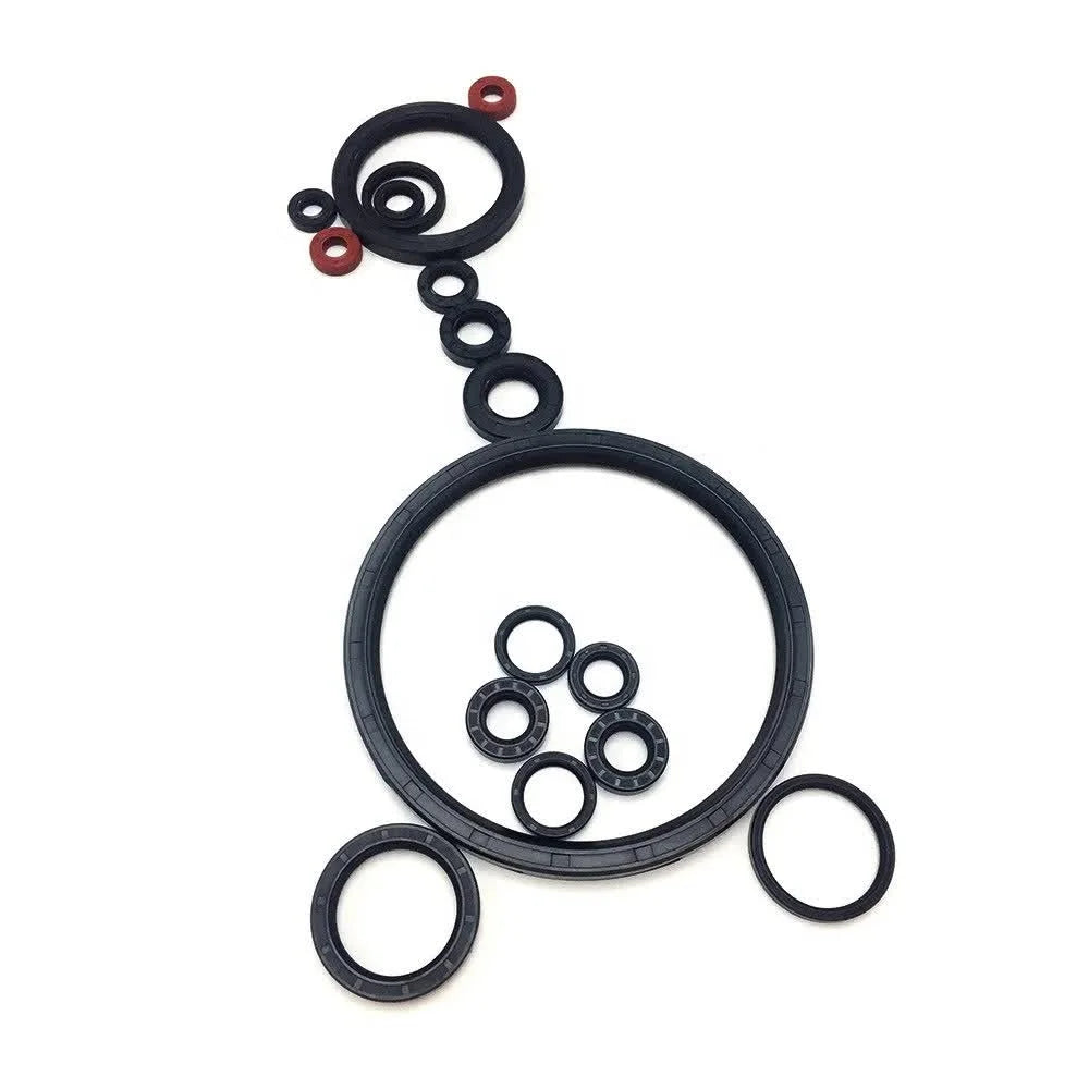 NBR Buna FKM Silicone HNBR EPDM TC SC Oil Seal 235x255x18 Size