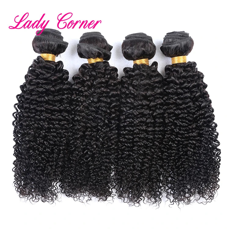 Cheap Unprocessed Cuticles Aligned Raw Malaysian Curly Hair Bundles with Lace Closurevirgin Grey Curly Human Hair Extensions