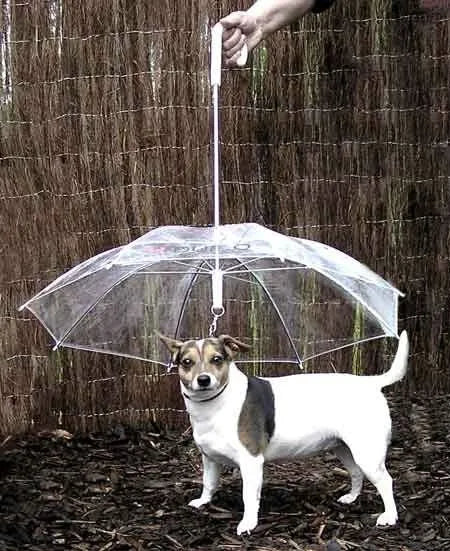 Customized logo Printing Dog Umbrella Transparent Pet Umbrella