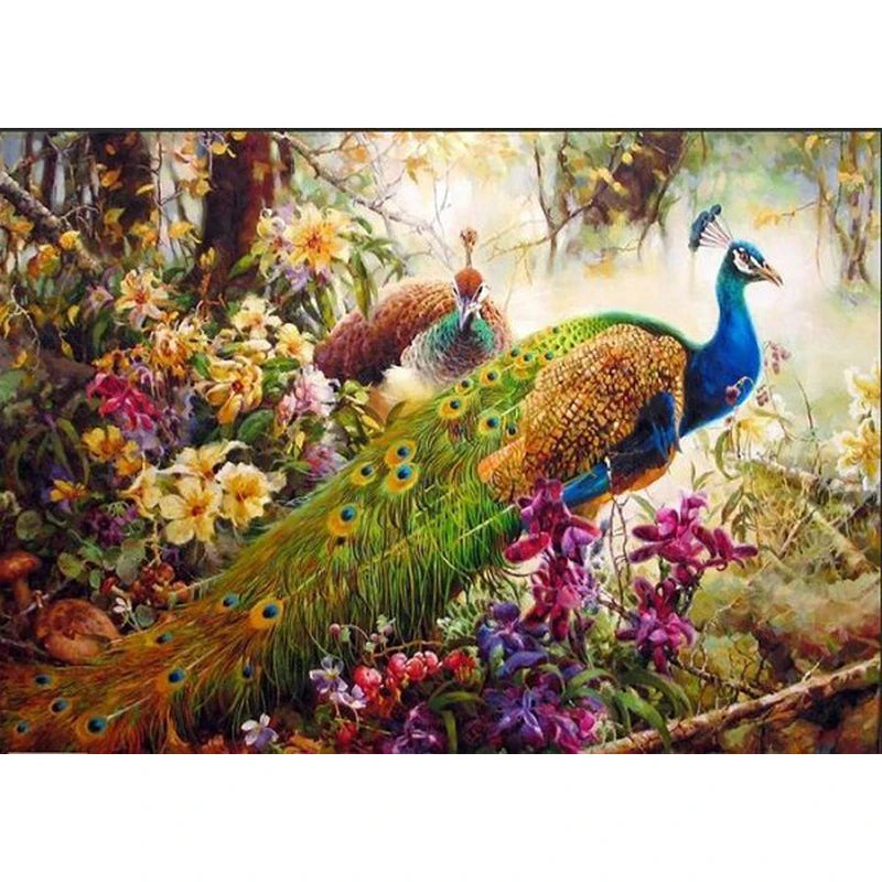 CHENISTORY 99057 Digital Painting by Numbers Peacock No Frame for Wholesale