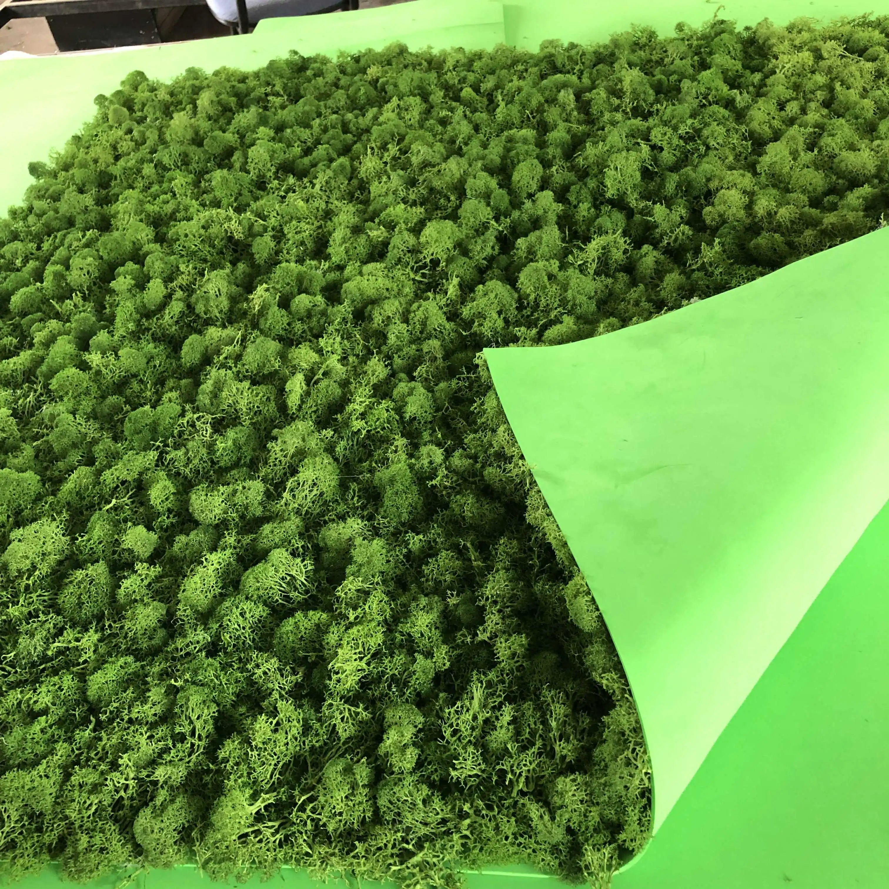 HFloral OEM Stabilized Reindeer Moss Board Preserved Supermoss Home Office Decor Wall Background Christmas New Year Mother's Day
