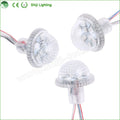 DC24V 35mm  9leds Pcs Outdoor Digital Led Pixel Led  for Amusement   Light