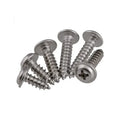 Stainless Steel and Black Steel Cross Pan Washer Head Self Tapping Wood Screw Metric Measurement System