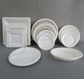 Sugarcane Bagasse 6-12 Inch Eco Biodegradable Food Grade Disposable Plate Blue-and-white Plant Pattern Bioleader Brand CE