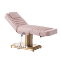 HICOMED Portable Multi-Functional PU Leather Beauty Salon Bed Modern Electric Sturdy Frame with Chinese Supplier