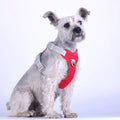 Adjustable Nylon Reflective Pet Leash and Dog Harness Set