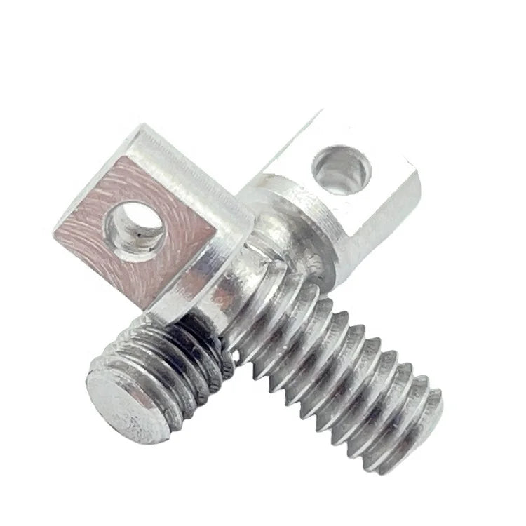 OEM Special Design Metal Stainless Steel 304 Brass Screws With Hole in Head