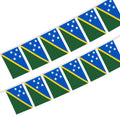 Custom 6.5m 100D Solomon Islands National Bunting Flag 20pcs Pennant String for Outdoor Celebration Party Supplies