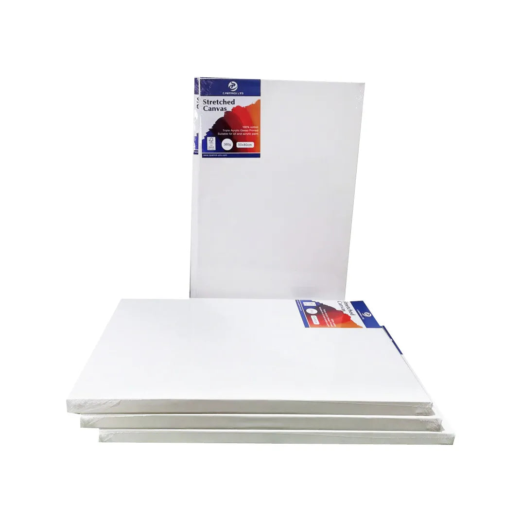 Art Supplies 50*70cm 380g Cotton Large Artist Painting Canvas for Drawing and Painting