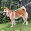 2023 New Pet Accessories Custom Designer Winter Soft Padded Breathable Small Pet Sherpa Dog Harness Set