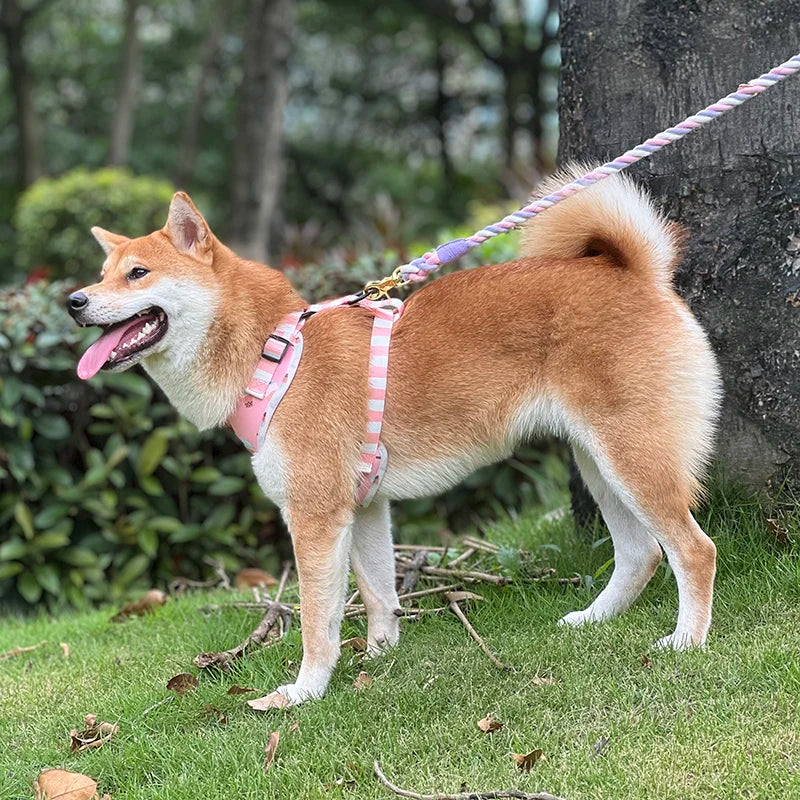 2023 New Pet Accessories Custom Designer Winter Soft Padded Breathable Small Pet Sherpa Dog Harness Set