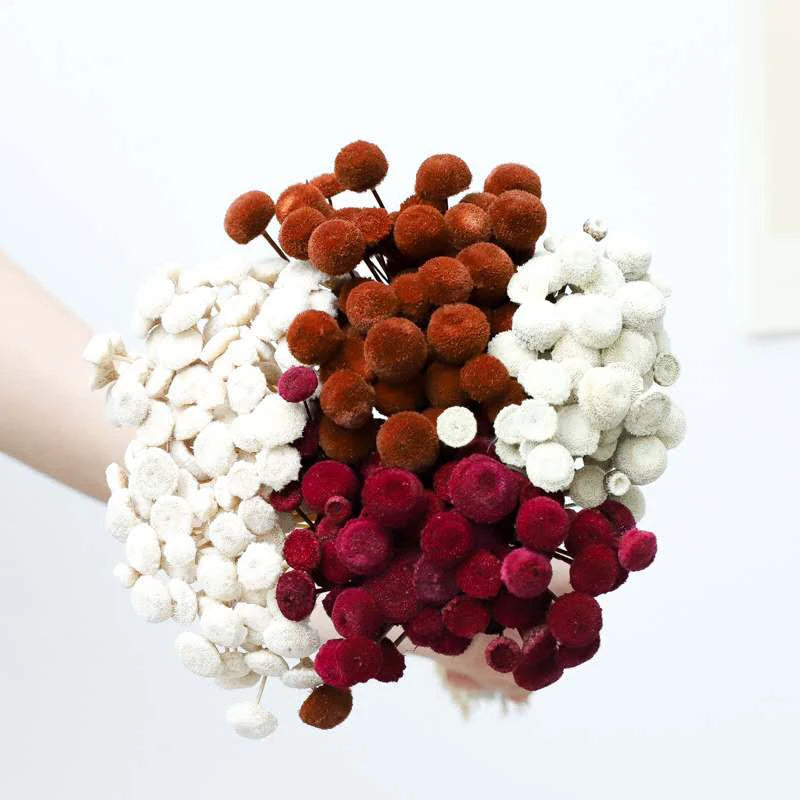 Wholesale Billy Button Mini Chrysanthemum Preserved Flower Popular Party Decoration