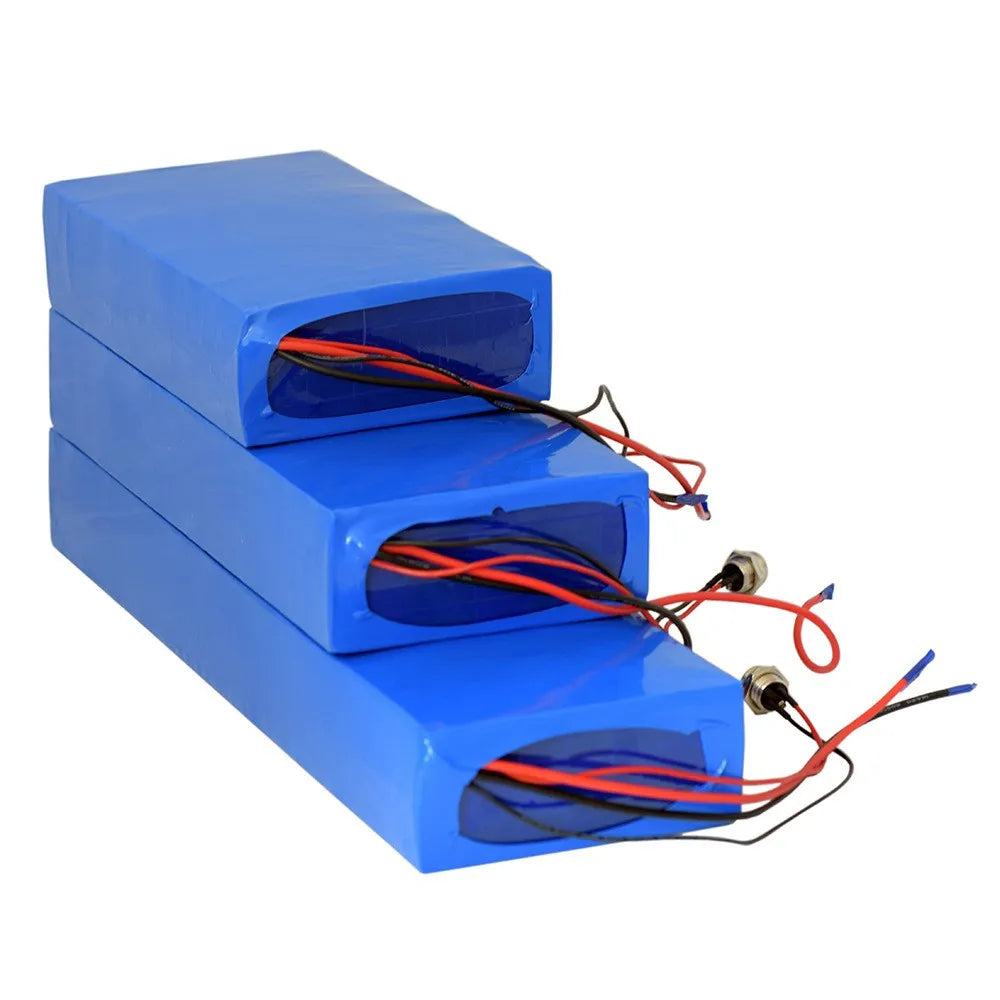 24V36V Lifepo4 48v 20ah Electric Bicycle Lithium Battery Scooter Power Lithium Battery for E-bike