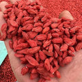 EU Standard Chinese Wolfberry Herbal Tea Supplement Red Goji Berry Freshly Processed Sweet Taste Packaged Bulk Box Bag