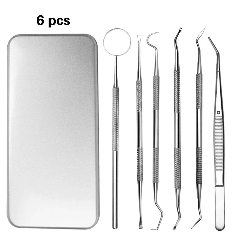 6Pcs Reusable Metal Toothpicks Portable Stainless Steel Toothpicks Pocket Set Tooth Cleaning Kit for Outdoor Camping Traveling