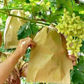 Single Layer Grape Fruit Protection Bags Agriculture Fruit Growing Wrapping Paper Bag Insect Prevention Customizable Size