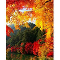 Chenistory 994009 the River in Late Autumn Landscape Diy Oil Painting by Numbers for Adult and Kids Paint Art Hand Paint by Num