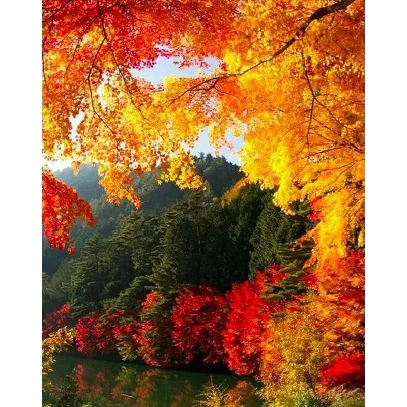 Chenistory 994009 the River in Late Autumn Landscape Diy Oil Painting by Numbers for Adult and Kids Paint Art Hand Paint by Num