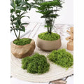 New Design Turf Plastic Grass Garden Wall Decoration Artificial Grass Square Flat Moss Mat Faux Synthetic Grass Artificial Moss