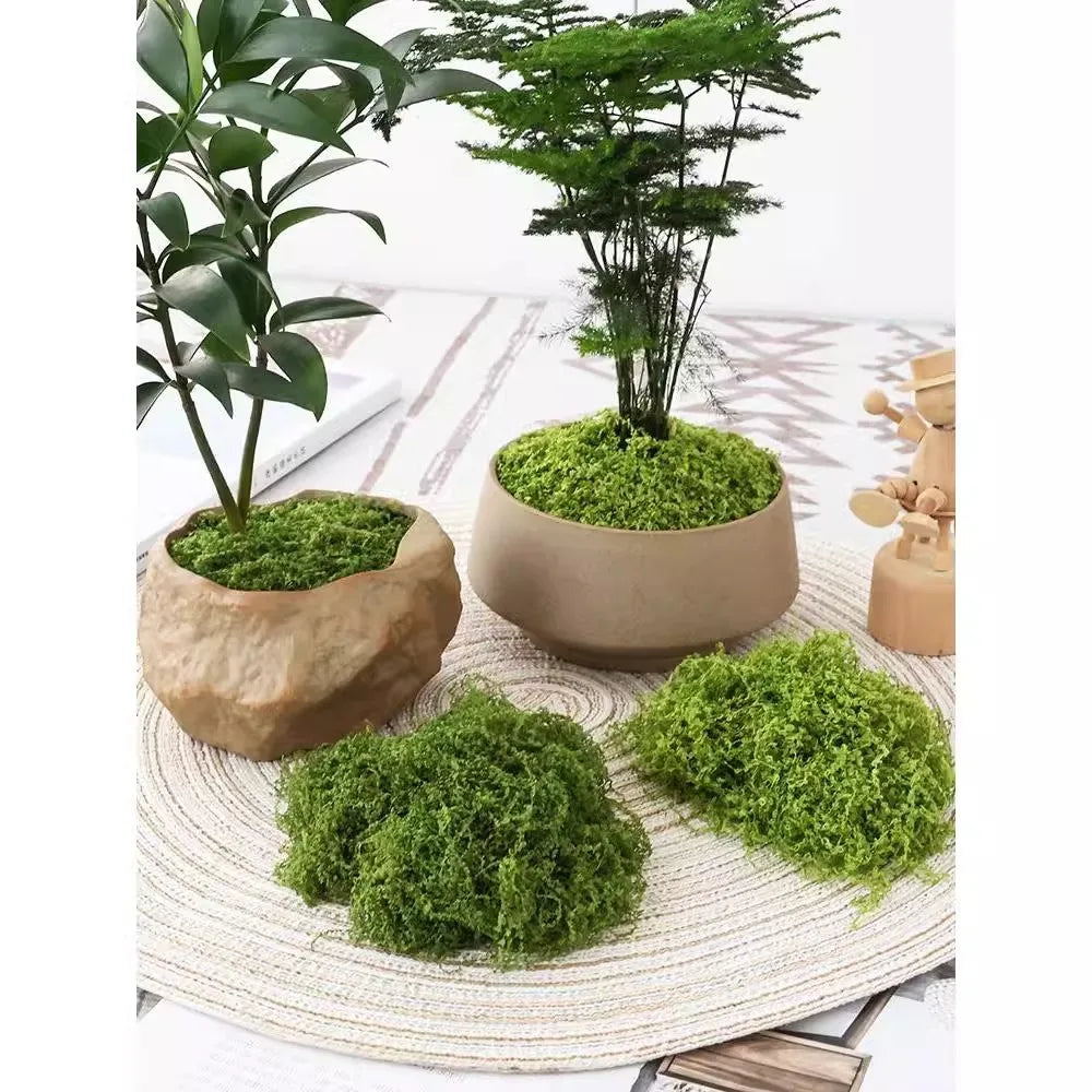 New Design Turf Plastic Grass Garden Wall Decoration Artificial Grass Square Flat Moss Mat Faux Synthetic Grass Artificial Moss
