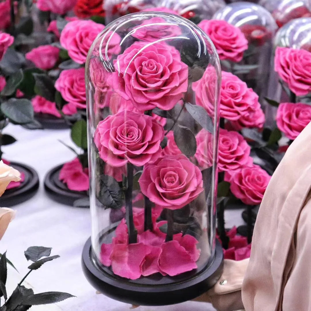 Forever Rose Glass Dome LED Lights Mothers Day Gifts for Women Christmas Teachers Day Wedding Favors Guests Holiday Supplies
