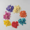 12pcs/Bag Dried Flower 3D Natural Nail Dry Flower for Nail Salon Nail Art