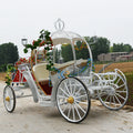 American Horse Buggy for Sale Royal Horse-drawn Carriages Manufacturer Limousine Buggy Princess Royal Horse and Carriage Girls