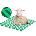 New Sheep Livestock Farm Equipment PP Plastic Slat Floor 60x60cm Green Long Life for Sale