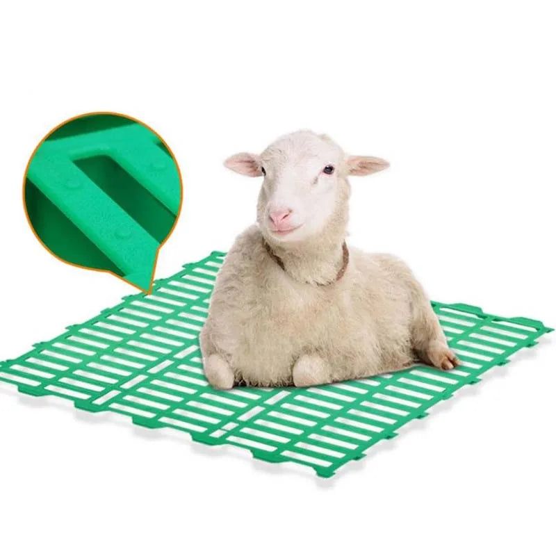 New Sheep Livestock Farm Equipment PP Plastic Slat Floor 60x60cm Green Long Life for Sale