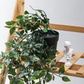 M885 Wholesale Hot Sales Artificial Plants Home Hotel Decoration Flowers Mandala Hanging Plant With Pot